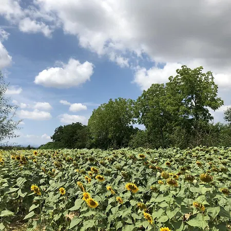 Farm stay La Renaia *